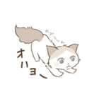 わが家ののにゃんず（個別スタンプ：24）