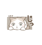 わが家ののにゃんず（個別スタンプ：25）