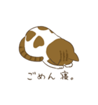 わが家ののにゃんず（個別スタンプ：31）