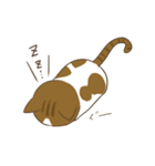 わが家ののにゃんず（個別スタンプ：32）