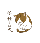 わが家ののにゃんず（個別スタンプ：35）