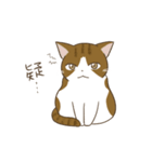わが家ののにゃんず（個別スタンプ：37）