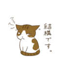 わが家ののにゃんず（個別スタンプ：38）
