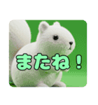 もふもふリススタンプ（個別スタンプ：11）