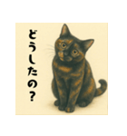 サビ猫のひとりごと（個別スタンプ：5）