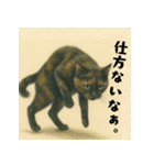 サビ猫のひとりごと（個別スタンプ：7）