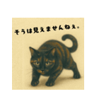 サビ猫のひとりごと（個別スタンプ：9）