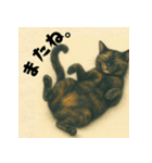 サビ猫のひとりごと（個別スタンプ：12）