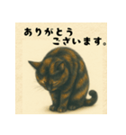 サビ猫のひとりごと（個別スタンプ：15）