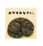 サビ猫のひとりごと（個別スタンプ：16）
