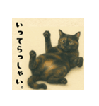 サビ猫のひとりごと（個別スタンプ：18）
