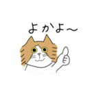 くわとろきゃっつ博多（個別スタンプ：15）