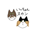 くわとろきゃっつ博多（個別スタンプ：17）