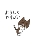 くわとろきゃっつ博多（個別スタンプ：19）