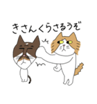くわとろきゃっつ博多（個別スタンプ：20）