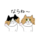 くわとろきゃっつ博多（個別スタンプ：23）