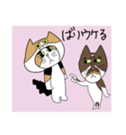 くわとろきゃっつ博多（個別スタンプ：31）