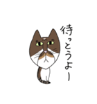 くわとろきゃっつ博多（個別スタンプ：32）