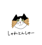 くわとろきゃっつ博多（個別スタンプ：33）