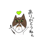 くわとろきゃっつ博多（個別スタンプ：36）