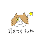 くわとろきゃっつ博多（個別スタンプ：38）