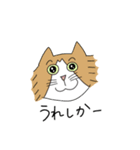 くわとろきゃっつ博多（個別スタンプ：39）