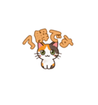 りょうかいにゃ！＊ねこのお返事スタンプ（個別スタンプ：1）