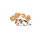 りょうかいにゃ！＊ねこのお返事スタンプ（個別スタンプ：2）