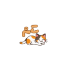 りょうかいにゃ！＊ねこのお返事スタンプ（個別スタンプ：8）