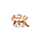 りょうかいにゃ！＊ねこのお返事スタンプ（個別スタンプ：9）