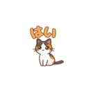 りょうかいにゃ！＊ねこのお返事スタンプ（個別スタンプ：11）