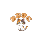 りょうかいにゃ！＊ねこのお返事スタンプ（個別スタンプ：12）