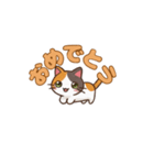 りょうかいにゃ！＊ねこのお返事スタンプ（個別スタンプ：13）