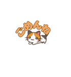 りょうかいにゃ！＊ねこのお返事スタンプ（個別スタンプ：14）
