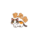 りょうかいにゃ！＊ねこのお返事スタンプ（個別スタンプ：16）