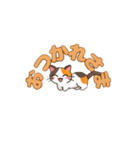 りょうかいにゃ！＊ねこのお返事スタンプ（個別スタンプ：17）