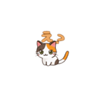 りょうかいにゃ！＊ねこのお返事スタンプ（個別スタンプ：20）