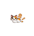 りょうかいにゃ！＊ねこのお返事スタンプ（個別スタンプ：21）