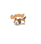 りょうかいにゃ！＊ねこのお返事スタンプ（個別スタンプ：22）