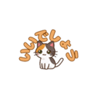 りょうかいにゃ！＊ねこのお返事スタンプ（個別スタンプ：23）