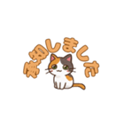 りょうかいにゃ！＊ねこのお返事スタンプ（個別スタンプ：24）