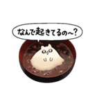 にょんぎつね（個別スタンプ：2）