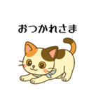 每日使える ミケくんスタンプ（個別スタンプ：9）