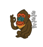 島根のマンドリルさん（個別スタンプ：4）