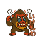 島根のマンドリルさん（個別スタンプ：5）