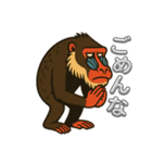 島根のマンドリルさん（個別スタンプ：7）