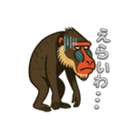 島根のマンドリルさん（個別スタンプ：12）