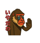 島根のマンドリルさん（個別スタンプ：14）