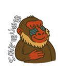 島根のマンドリルさん（個別スタンプ：22）