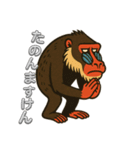 島根のマンドリルさん（個別スタンプ：29）